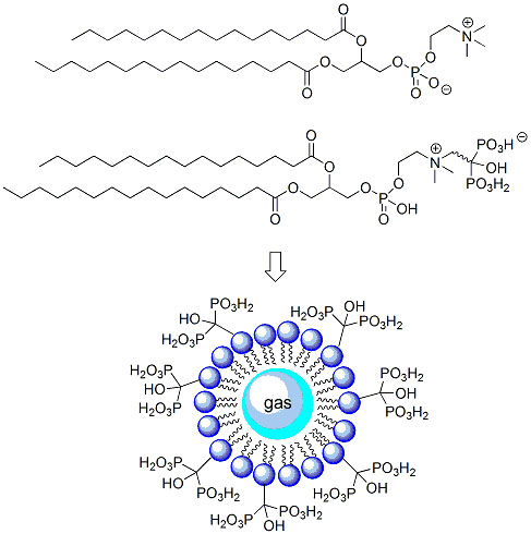 Physiologic Activity of Bisphosphonates – Recent Advances