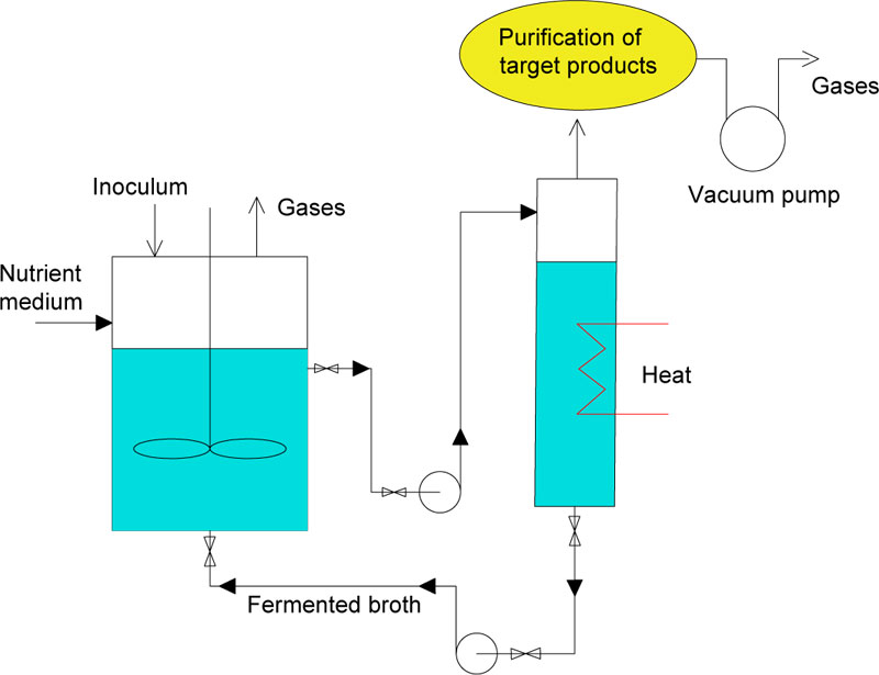 Fermentation of Sweet Syrup Under Reduced Pressure for