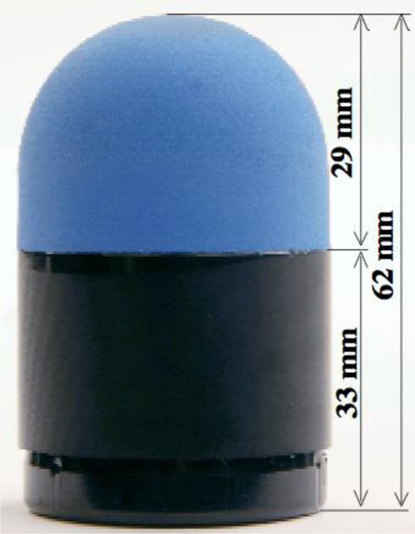 This is the size of a rubber bullet. r/pics