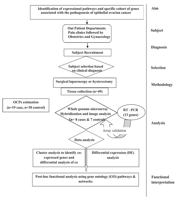 Pathophysiology Of Cancer In Flow Chart
