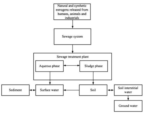 Endocrine Disruptors As Pollutants In Marine Ecosystem A - 