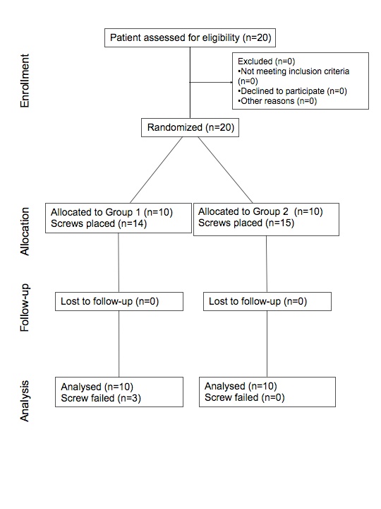 Consort Flow Chart Clinical Trials
