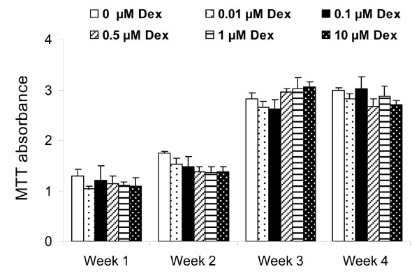 In Vitro Osteogenic Induction Of Human Gingival Fibroblasts For Bone ...