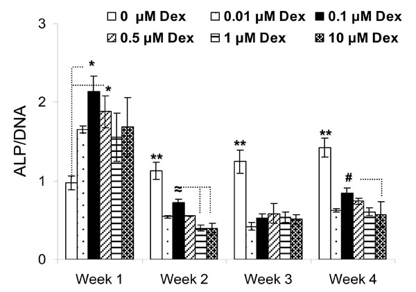 In Vitro Osteogenic Induction Of Human Gingival Fibroblasts For Bone ...