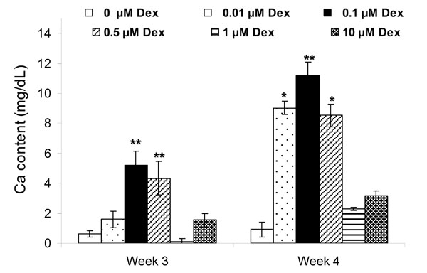 In Vitro Osteogenic Induction Of Human Gingival Fibroblasts For Bone ...