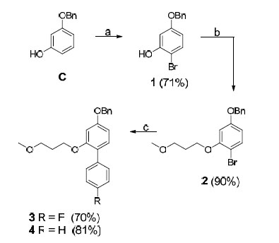 Design And Synthesis Of Hydroxyethylene-Based BACE-1 Inhibitors ...