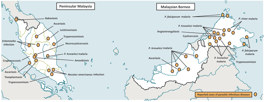 An Epidemiological Review On Emerging And Re Emerging Parasitic Infectious Diseases In Malaysia Fulltext