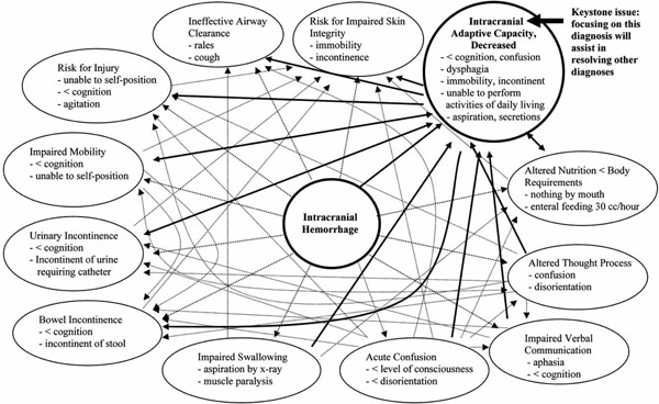 cosmetic surgery essay under eyes circles