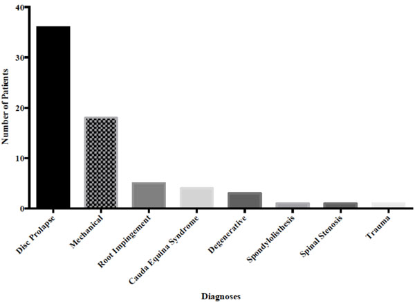 Documentation of Focal Neurology on Patients with Suspected Cauda ...