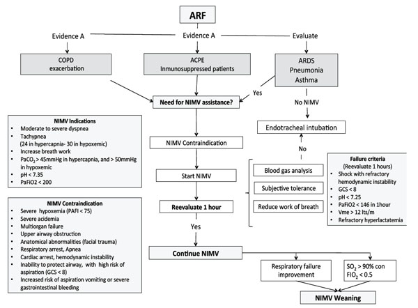 Ards Pathophysiology Flow Chart