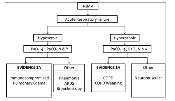 Ards Pathophysiology Flow Chart