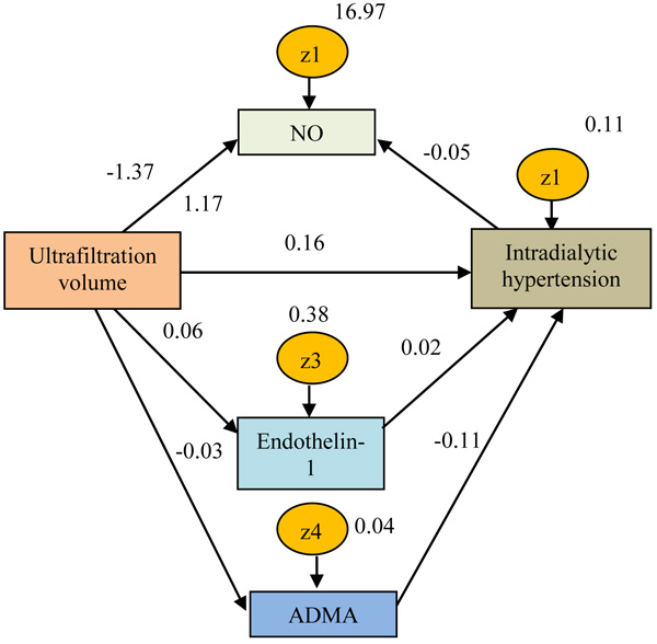 Excessive Ultrafiltration During Hemodialysis Plays a Role in