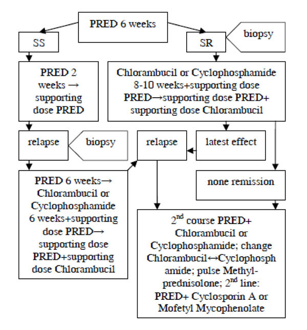 Pathophysiology Of Nephrotic Syndrome In Flow Chart